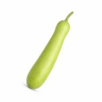 Indická tykev „Bottle Gourd“ (Lagenaria siceraria) – Čerstvá