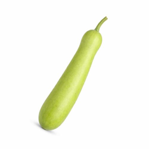 Indická tykev „Bottle Gourd“ (Lagenaria siceraria) – Čerstvá