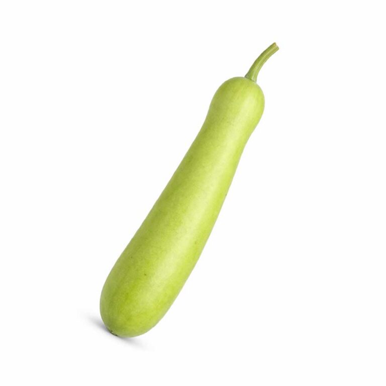 Indická tykev „Bottle Gourd“ (Lagenaria siceraria) – Čerstvá