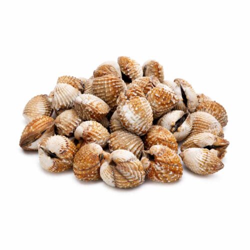 Čerstvé Srdcovky "Blood Cockles" (Sò Huyết)