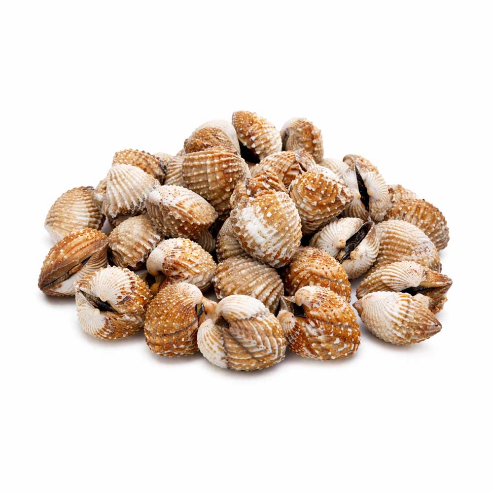 Čerstvé Srdcovky "Blood Cockles" (Sò Huyết)