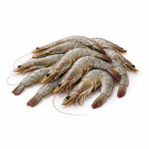 Čerstvé syrové krevety – Celé s hlavou (Raw Shrimps)