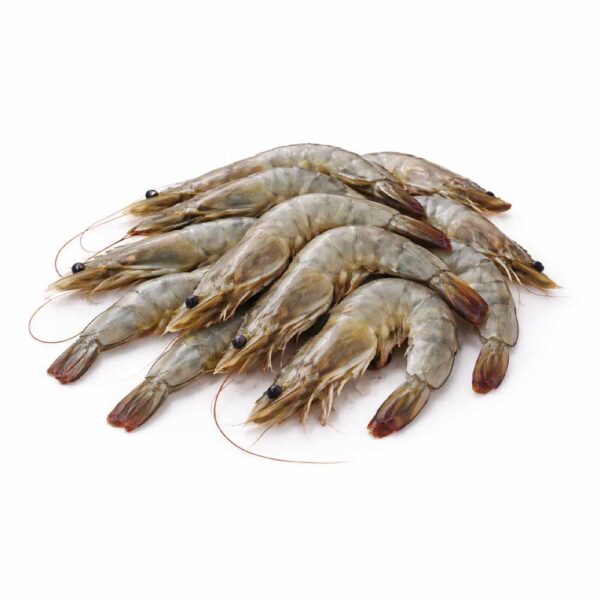 Čerstvé syrové krevety – Celé s hlavou (Raw Shrimps)