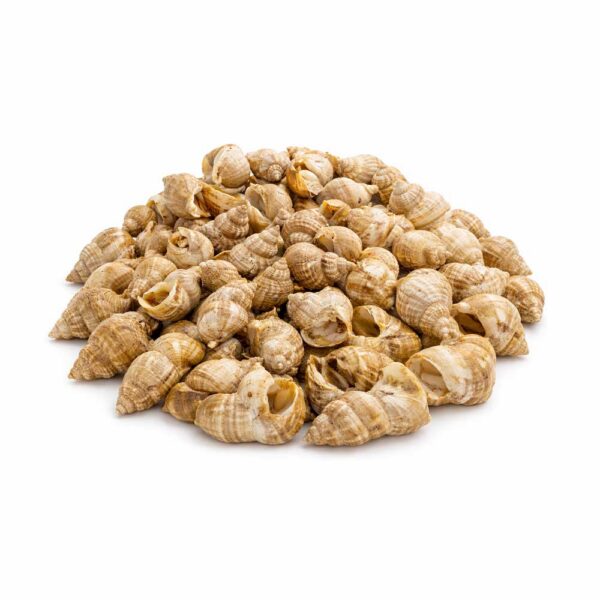 Labužnický poklad z hlubin oceánu - Whelks