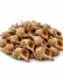 Murex Sea Snails (known as Ốc Gai in Vietnam)