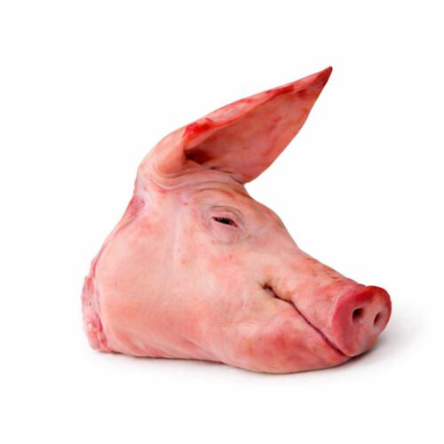 Vepřová hlava dělená – Čerstvá (vážená, cca 1 kg)