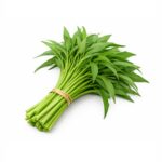 Čerstvý vodní špenát „Morning Glory“ (100 g)